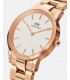 Reloj Mujer Daniel Wellington DW00100213 de 28 mm. en acero inoxidable oro rosa.